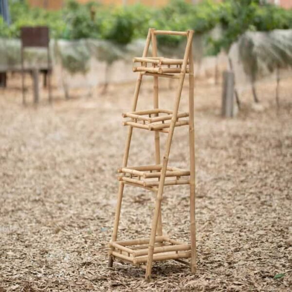 19-2 סולם מדפים במבו – תמונה 2