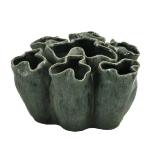 ואזה בלייז גרינסנס