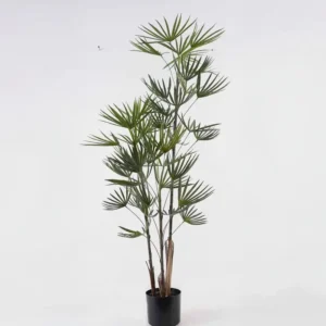 עץ דקל במבוק