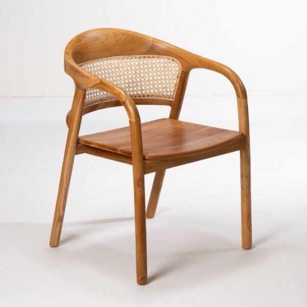 ⁦כסא אוכל סאלי⁩ – תמונה ⁦1⁩