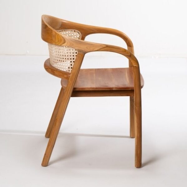 ⁦כסא אוכל סאלי⁩ – תמונה ⁦3⁩