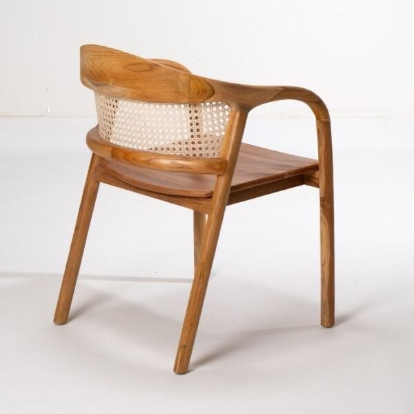 ⁦כסא אוכל סאלי⁩ – תמונה ⁦2⁩