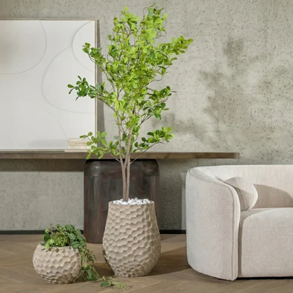 ⁦בית עציץ בוטניקה L⁩ – תמונה ⁦2⁩