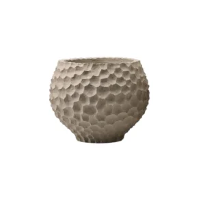 בית עציץ בוטניקה