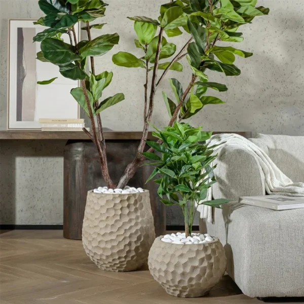 ⁦בית עציץ בוטניקה⁩ – תמונה ⁦2⁩