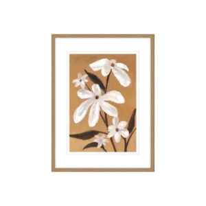 תמונה פלוריס