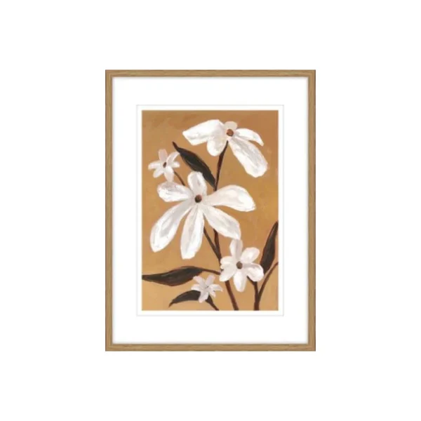 ⁦תמונה פלוריס⁩ – תמונה ⁦1⁩