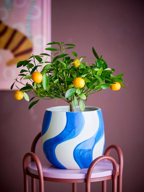 ⁦בית עציץ גריס⁩ – תמונה ⁦2⁩