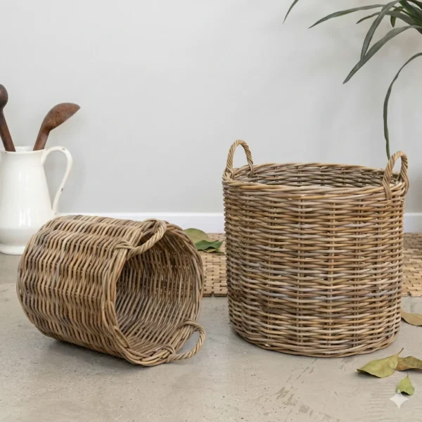 ⁦סל ראטן קני⁩ – תמונה ⁦2⁩