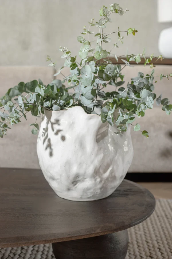 ⁦ואזה בלייז ברי וויט⁩ – תמונה ⁦2⁩