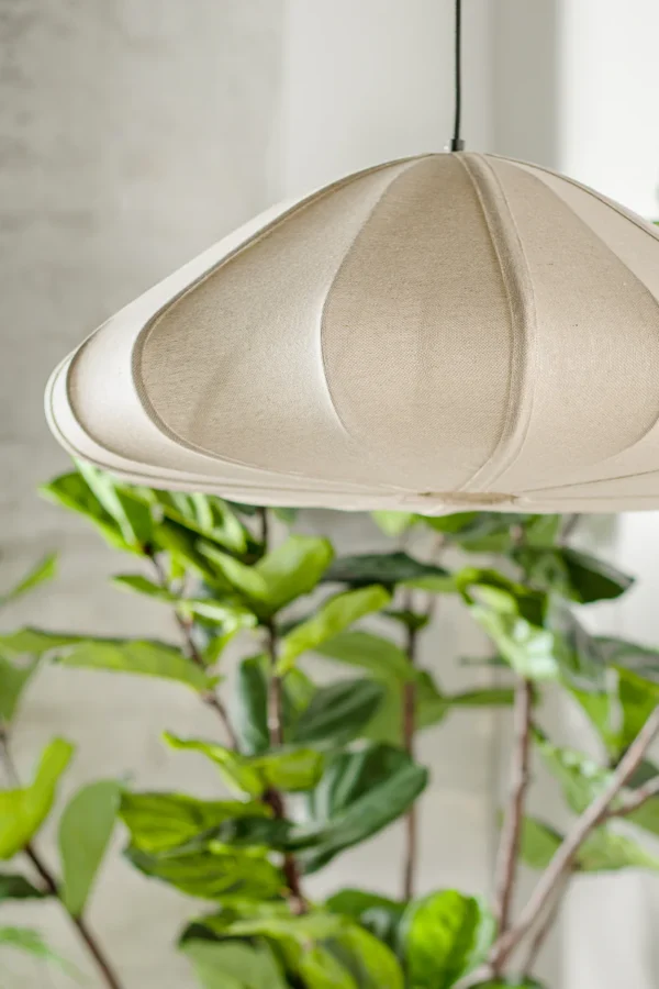 ⁦מנורה כותנה פאבריקה⁩ – תמונה ⁦3⁩