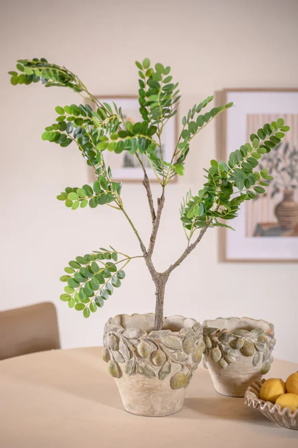 ⁦פלנטר קרמיק למון⁩ – תמונה ⁦2⁩