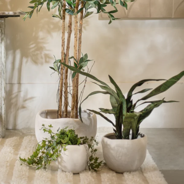 ⁦פלנטר בול ארטמיס אייבורי⁩ – תמונה ⁦2⁩