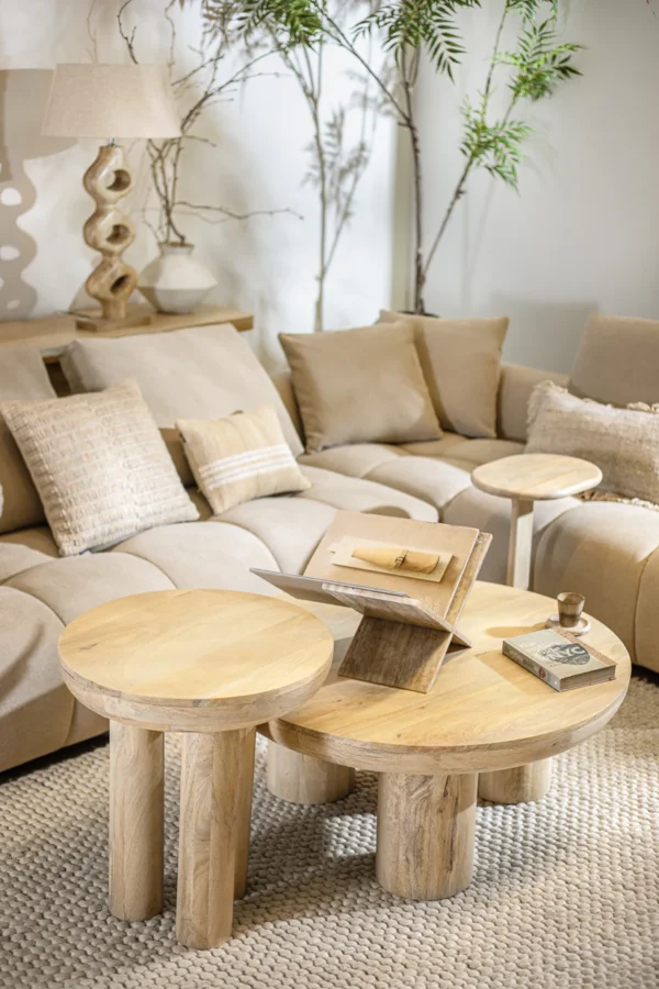 ⁦שולחן סלון אלפנט נטורל⁩ – תמונה ⁦3⁩