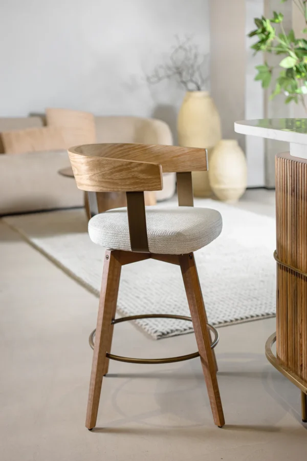 ⁦כסא בר ריצ'רד⁩ – תמונה ⁦2⁩