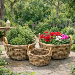 אדנית ראטן קובו