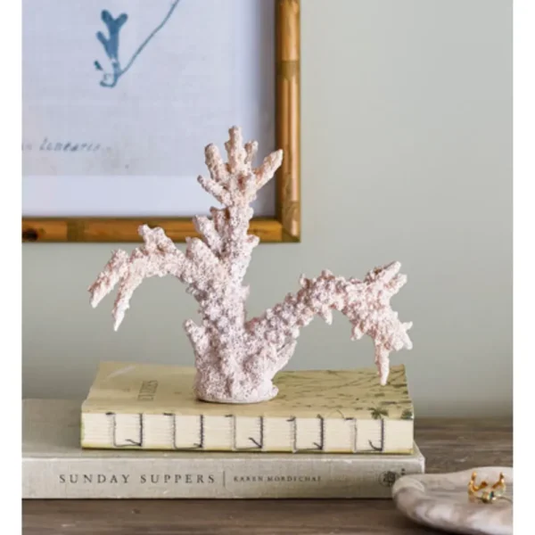 ⁦דקו אלמנט קורל⁩ – תמונה ⁦2⁩