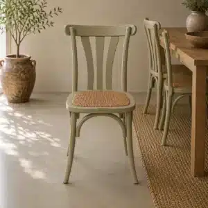 כסא אוכל רטרו פיסטוק