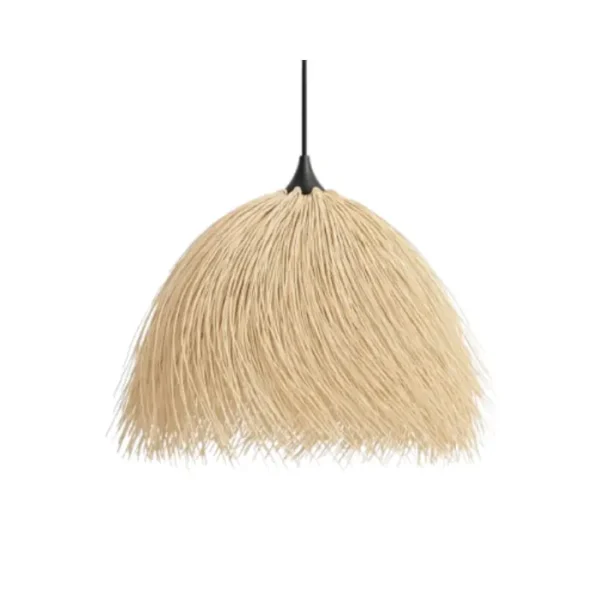 ⁦אהיל ראטן קופיפי⁩ – תמונה ⁦1⁩